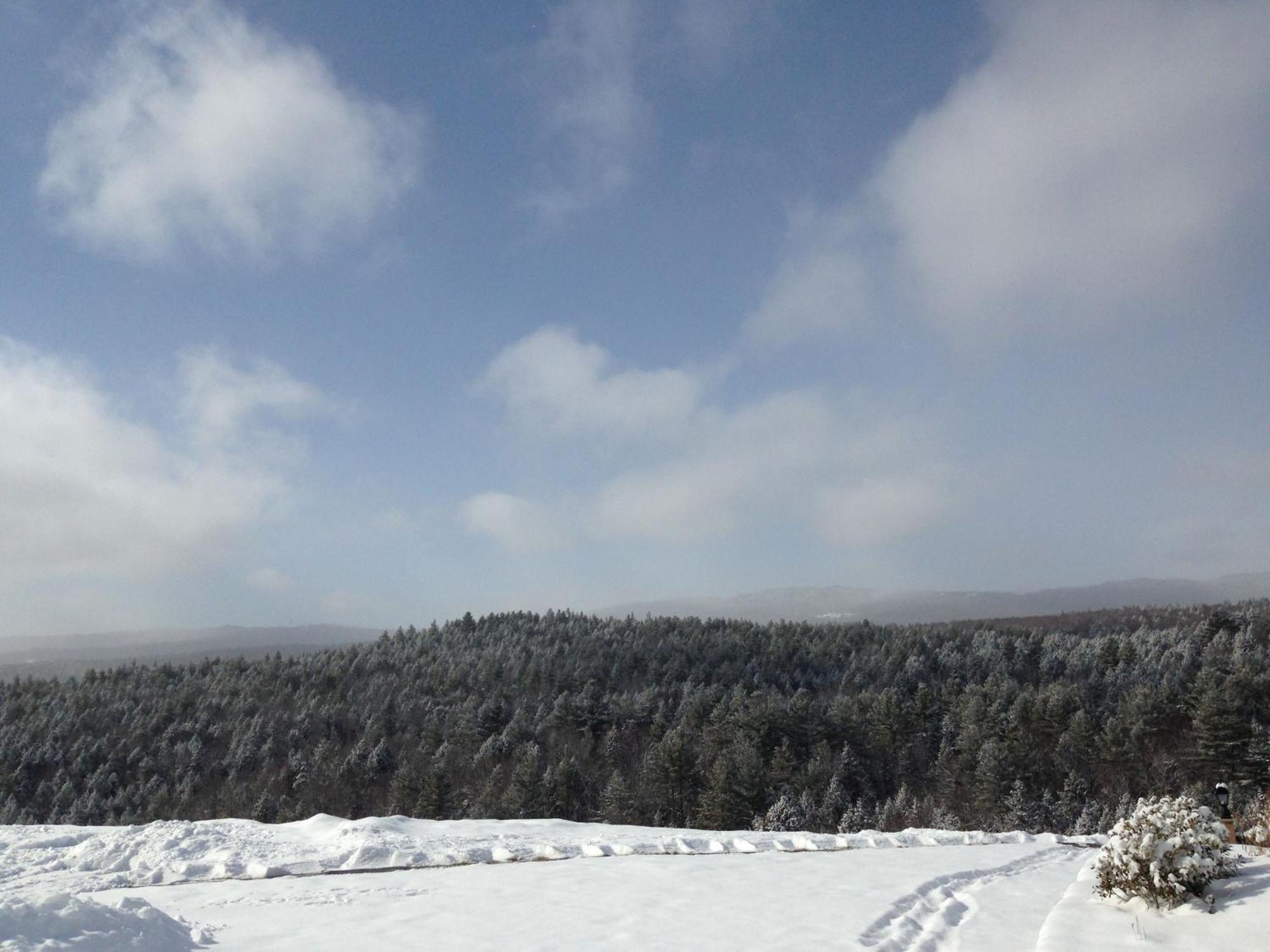 Adams Hill House Retreat - Artist-Architect'S Estate, Newfane Vermont Esterno foto