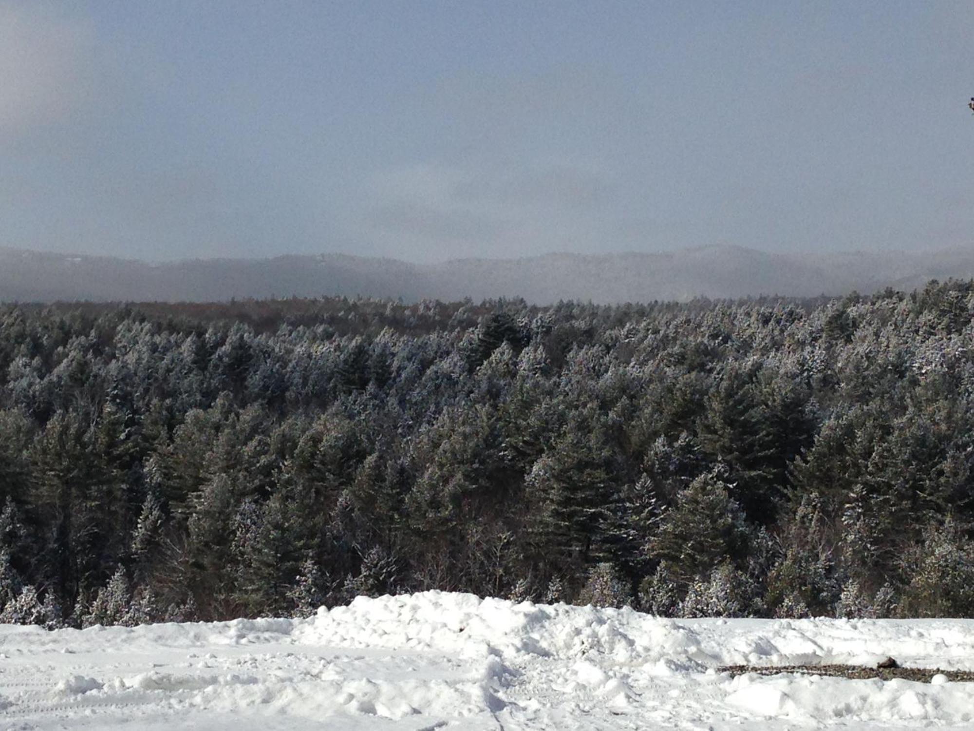 Adams Hill House Retreat - Artist-Architect'S Estate, Newfane Vermont Esterno foto